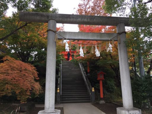 西早稲田・一陽来復で知られる穴八幡も美しく紅葉